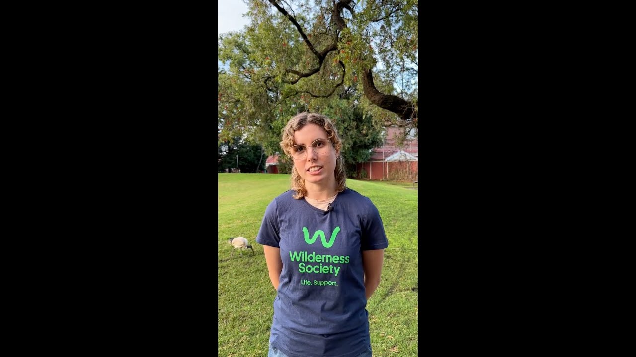 Australians want nature laws that actually protect nature