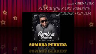 SOMBRA PERDIDA-LUIS MIGUEL DEL AMARGUE.