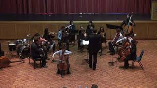 TSS Concerto Final 2018 -Max Carr