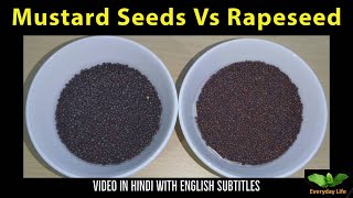 Sarso Vs Toria | Mustard Seeds Vs Rapeseed | सरसो और तोरिया में अंतर | Toria Vs Rai | # 199