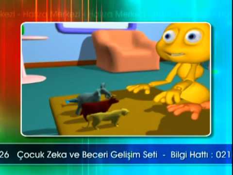 Çocuk Zeka ve Beceri Gelişimi / Hafiza Merkezi