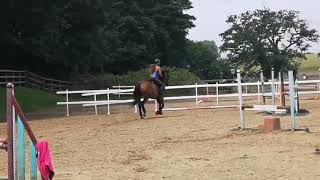 Compton Blue + Amy Clarke  @ Annabelle's Equestrian by Amy Clarke 90 views 3 years ago 55 seconds