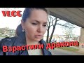 Кто вернётся к нормальной жизни?•Наше утро•Попала в магазин•Германия Vlog 04/21