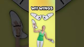 The WEIRDEST Wii Accessories...