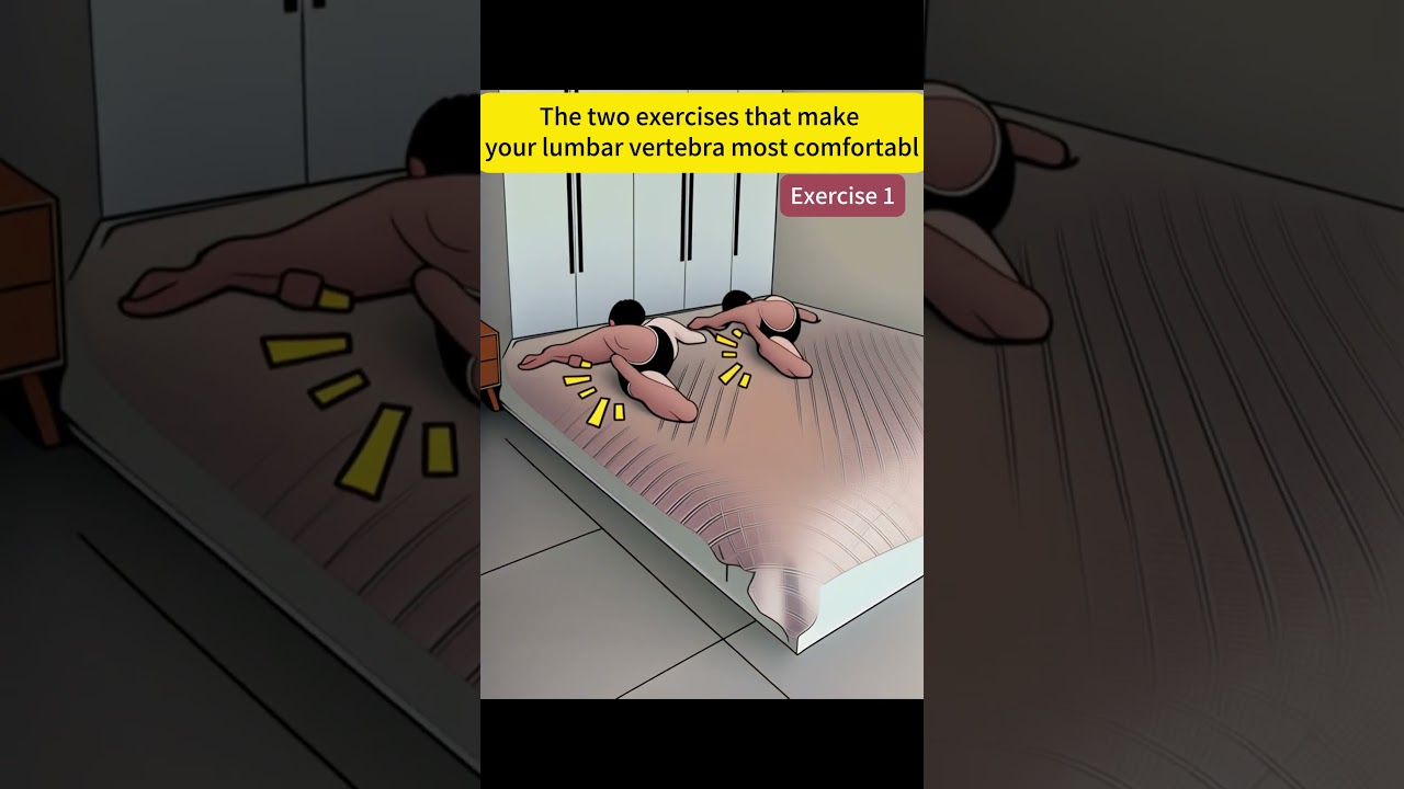 The two exercises that make your lumbar vertebra most comfortabl