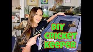 DIY Cricket keeper