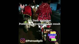 Story wa konco sejati