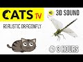 CATS TV - Realistic Dragonfly - 3 HOURS (Entertainment Video for Cats to Watch)