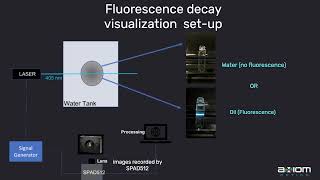 Visualizing And Measuring Fluorescence Decays Using The Spad512S Camera In Gated Imaging Mode