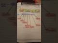 Trick to learn 7 Sisters of India #viral #youtubeshorts #gk #shorts #india #trending #learning #fun