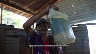 Minyak Kayu Putih Asli KAT126 Pulau Buru Maluku