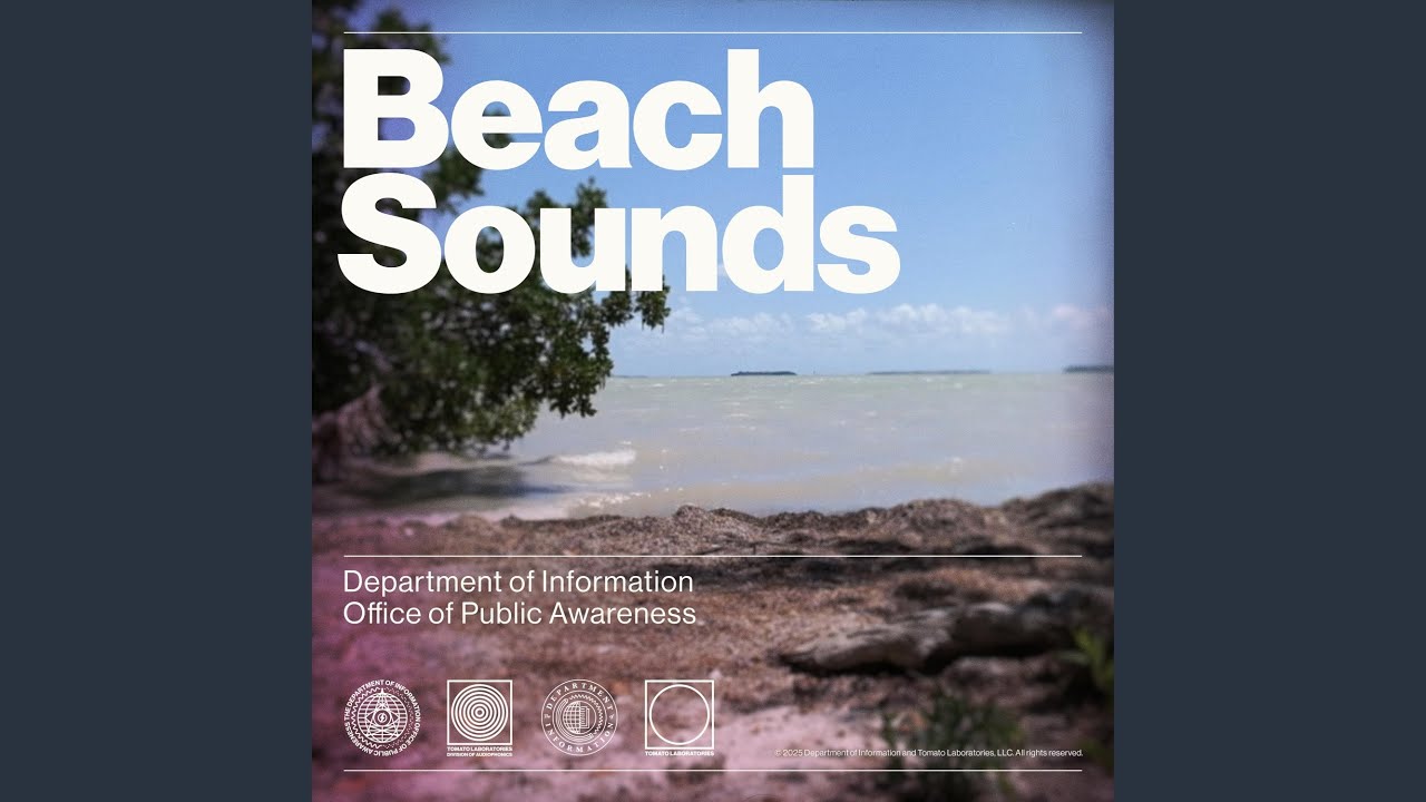 Fire Island Pt. 2: Between the Dunes