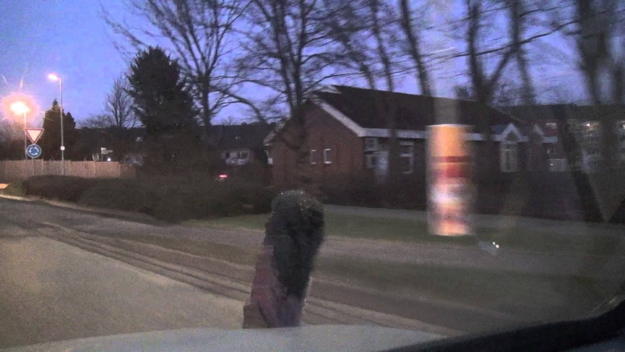 Schwarzenbek 3.3.2013