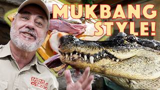 Darth Gator Gets a Feast Mukbang Style😳