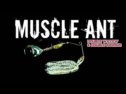 NEW Muscle Ant! The Muscle Finesse Spinnerbait 