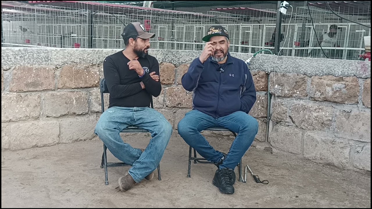 ‼️‼️📢📢🐓🐓 Poder es Poder Chulos... Tarra🐓🐓📢📢‼️‼️ @BurrasPrietas