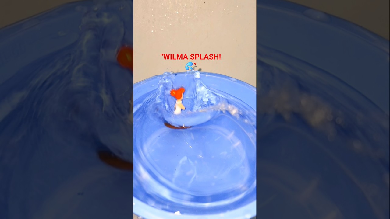 Wilma vs Water–Slow Motion” 