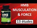 Hmb bon pour la musculation et prise de force  13 tudes  dangers et dosage