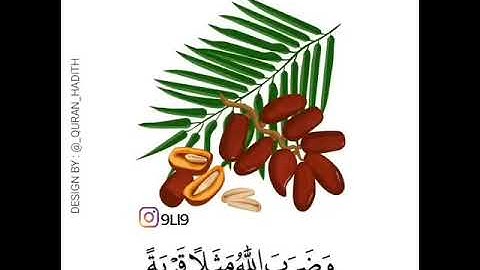 سورة النحل من آية {١١٢ } الى آية { ١١٣ } للقارئ عبدالرحمن مسعد