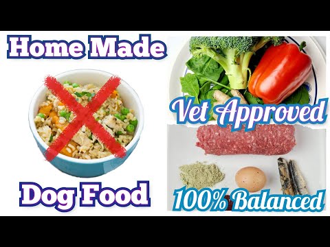 Video: Diæt Forberedt hjemme hos hunde