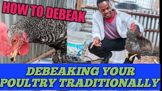 HOW TO DEBEAK YOUR POULTRY/CHICKEN TO AVOID EGG EATING AND CANNIBALISM TUTORIAL (step by step)