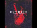 Entwine - Everything For You (Acoustic) + lyrics + subtitulado en español