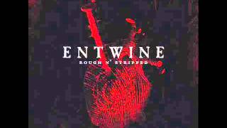 Video thumbnail of "Entwine - Everything For You (Acoustic) + lyrics + subtitulado en español"