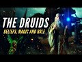The druids  beliefs magic and role in ancient society