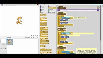 Scratch - conditions and loops