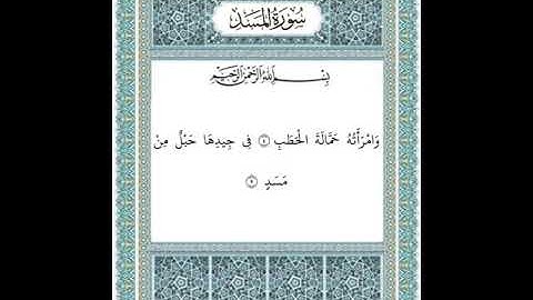 سورة المسد ٤-٥