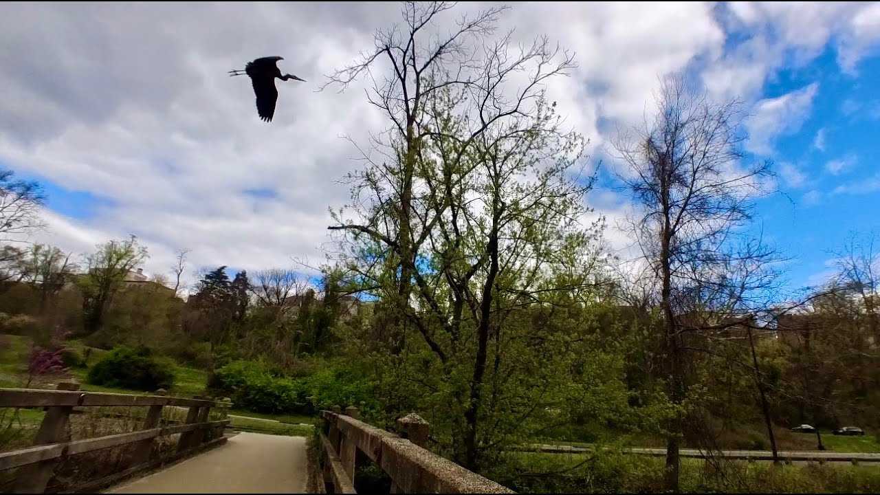 Rock Creek Trail from Dupont Circle to Woodley Park, Washington, DC