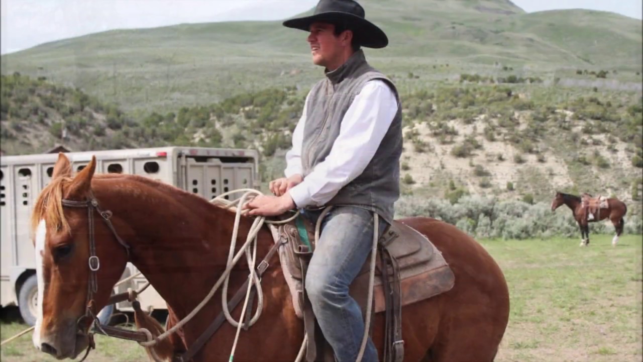 Guido(Bar Hoppin Fritz)5y/o APHA Gelding Consigned at Winnemucca Ranch