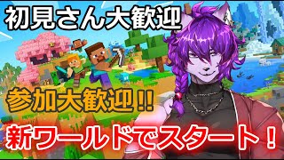 【#Minecraft】新ワールドでスタート！初見さん大歓迎！【参加大歓迎】
