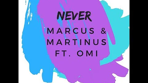 Marcus & Martinus- Never ft. Omi (Lyric Video)| Song Lyrics Bird