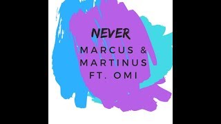 Marcus & Martinus- Never ft. Omi (Lyric Video)| Song Lyrics Bird