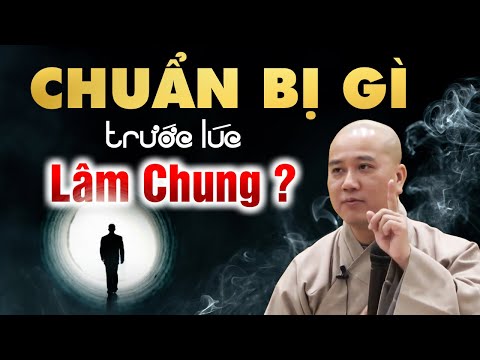 Video: Làm Thế Nào để đối Xử Với Một Con Bò