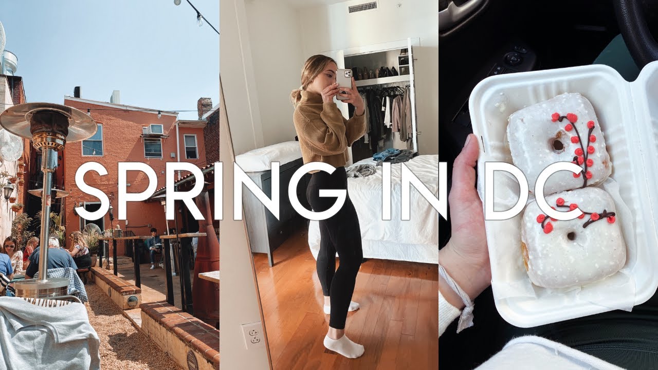 Sunday in my Life | Exploring DC, Cherry Blossoms, Wine Bars
