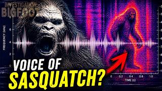 The Voice of Sasquatch?: Investigation Bigfoot (Sasquatch Audio Captured?)