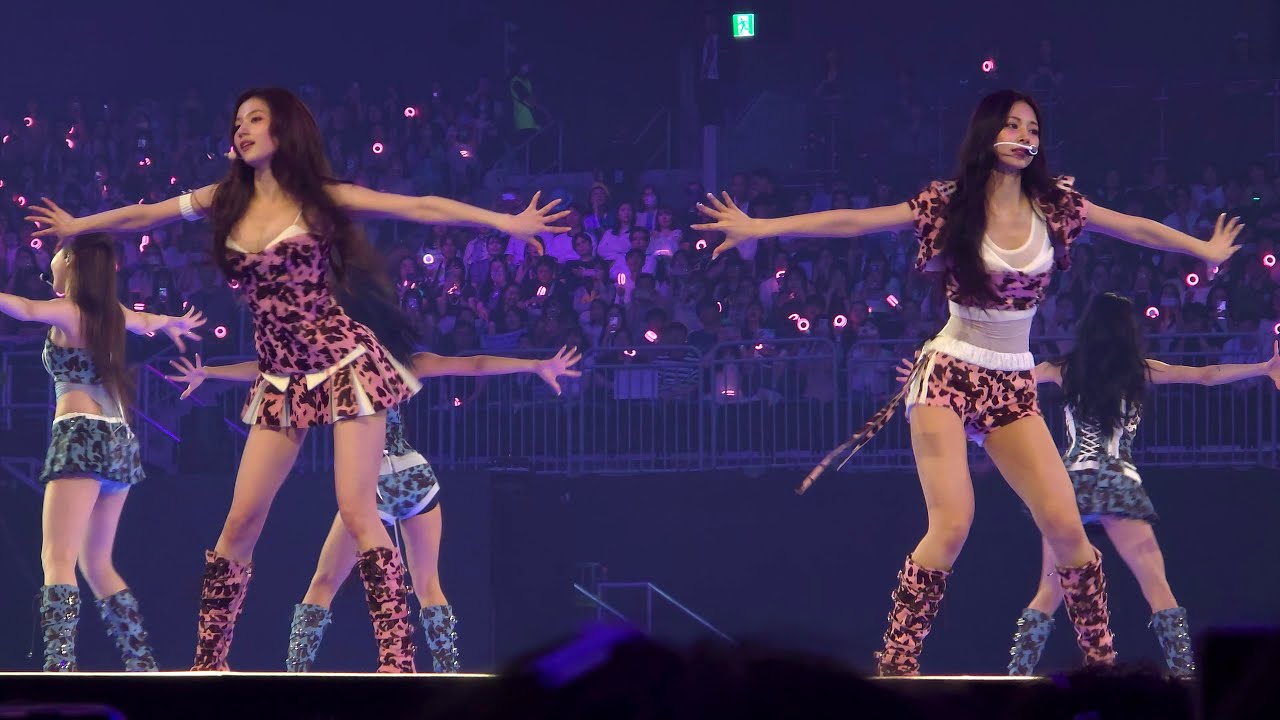 250720 TWICE(트와이스) 'Feel Special' Fancam THIS IS FOR WORLD TOUR in INCHEON Day2