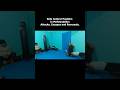 5 Side Control Escapes You Need to Know NOW