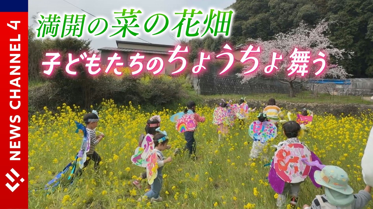 Spring event in a rapeseed field!] Children transform into
