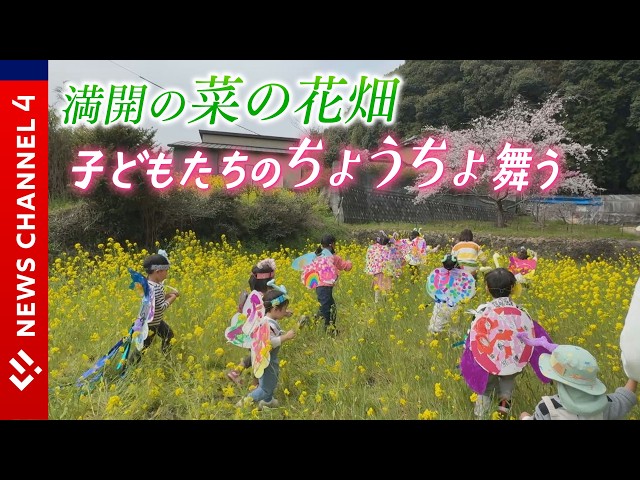 Spring event in a rapeseed field!] Children transform into