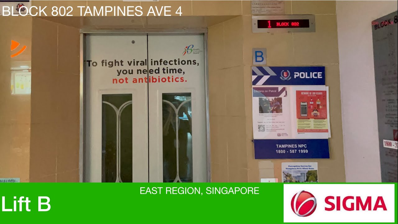 HDB Block 802 Tampines || Sigma Elevator (Lift B) - YouTube