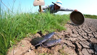 OMG! catch monster catfish come out from underground when dry season by technique hand