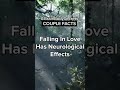 Falling In Love Is Cocaine Shorts Psychology Facts Couple Quotes Falling In Love Is Cocaine Shorts Psychology Facts Couple Quotes