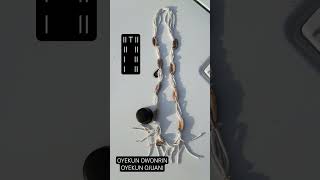 Oyekun Owonrin #Ifa #espiritualidad #Oyeku #Owonrin #oraculo #oracle #divination #orunmila #eggun