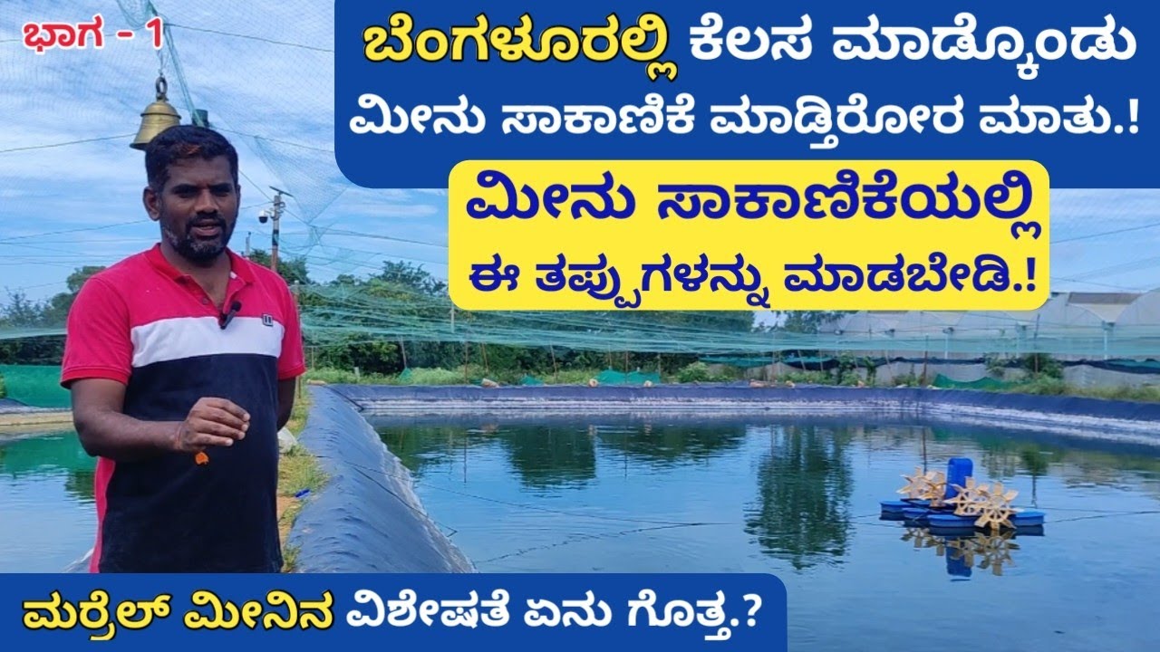 ಬೇರೆ ರಾಜ್ಯಗಳಲ್ಲಿ ಈ ಮೀನಿಗೆ ಭಾರಿ ಬೇಡಿಕೆ | ಮೀನು ಸಾಕಾಣಿಕೆ ಶುರು ಮಾಡುವುದಕ್ಕಿಂತ ಮುಂಚೆ ಇದು ನಿಮಗೆ ಗೊತ್ತಿರಲಿ |