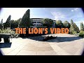 The lions