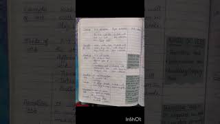 English Lesson Plan.                                    Verb