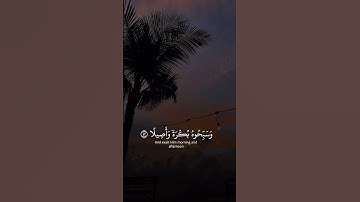 قرأن كريم #قرآن #قران_كريم #اكسبلور #تلاوة_خاشعة #دويتو #duet #لايك #تيك_توك #راحة_نفسية